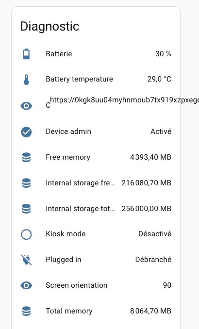 Panneau Diagnostic de Fully Kiosk Browser : niveau de batterie 30%, température, mémoire disponible et statut de l'appareil